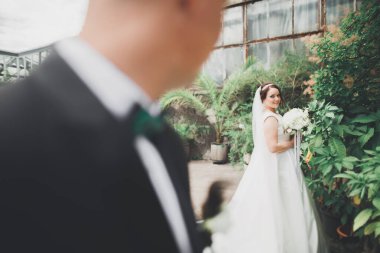 Gelin ve damat el ele tutuşuyor.