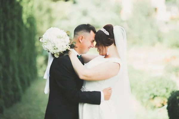 Casamento casal noiva e noivo de mãos dadas — Fotografia de Stock