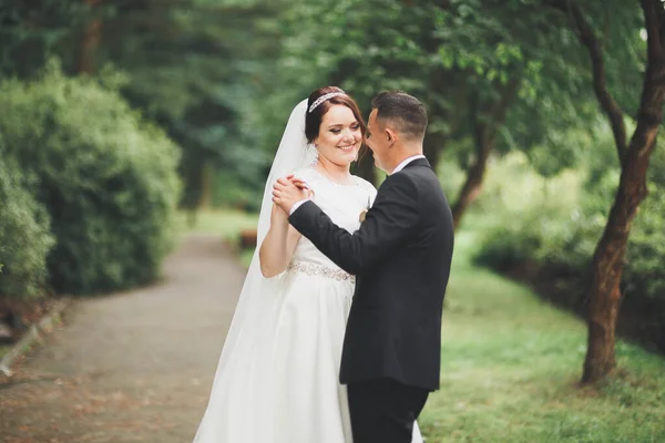 Bruidspaar bruid en bruidegom hand in hand — Stockfoto