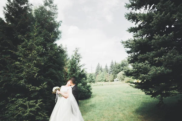 Gyönyörű luxus menyasszony elegáns fehér ruhában — Stock Fotó
