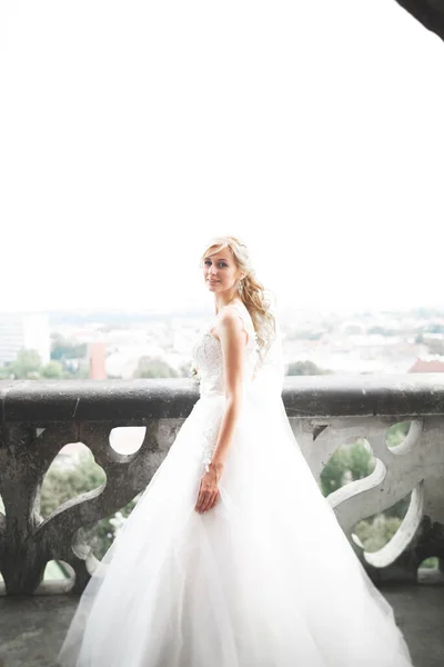 Hermosa novia de lujo en el balcón con un paisaje perfecto —  Fotos de Stock