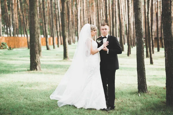 Joyeux couple de mariage marchant dans un parc botanique — Photo