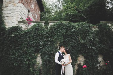 Botanik parkında yürüyen mutlu bir çift.