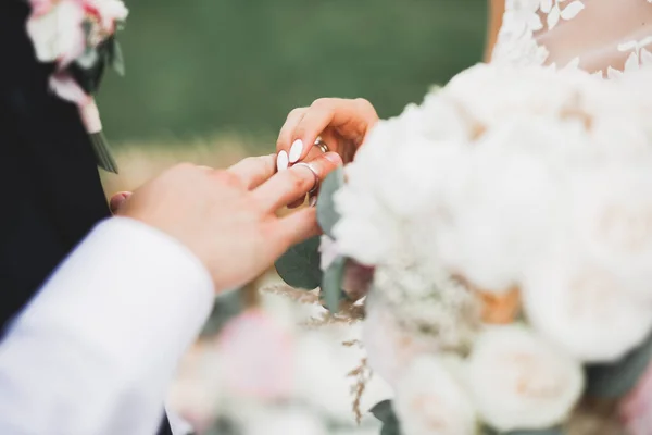 Novia y novio intercambiando anillos de boda. Elegante ceremonia oficial de pareja — Foto de Stock