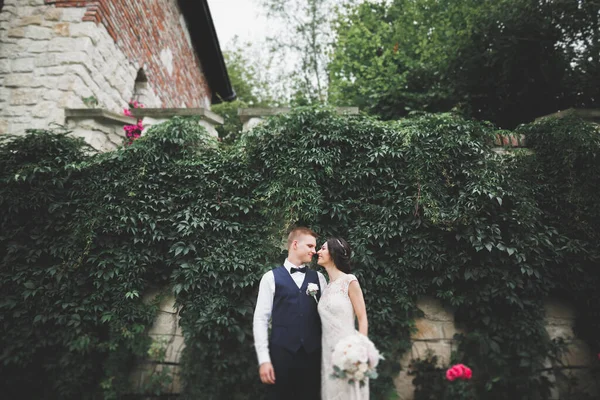 Matrimonio coppia sposa e sposo tenendosi per mano — Foto Stock