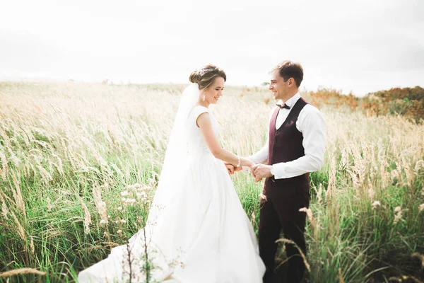 Hermosa pareja de boda, novia y novio posando en el campo durante la puesta del sol — Foto de Stock