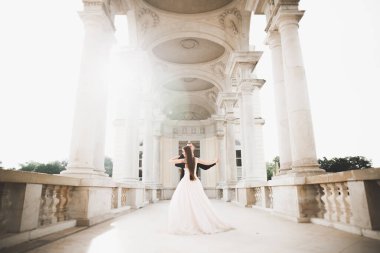 Güzel mutlu bir düğün çifti, uzun beyaz elbiseli gelin.