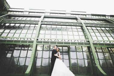 Lüks bir düğün çifti, gelin ve damat lüks şehirde poz veriyor.