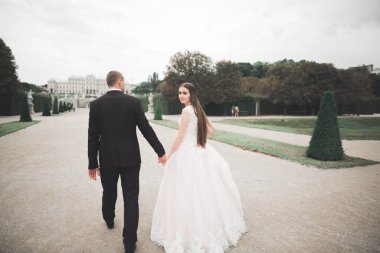 Güzel gelin ve damat evlendikleri gün kucaklaşıp öpüşüyorlar.