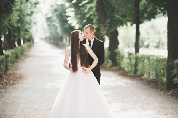 Romantico, fiaba, felice coppia di sposi che si abbraccia e si bacia in un parco, alberi sullo sfondo — Foto Stock