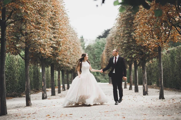 Casamento recém-casado casal correndo e pulando no parque, mantendo as mãos — Fotografia de Stock