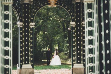 Lüks bir düğün çifti, gelin ve damat lüks şehirde poz veriyor.
