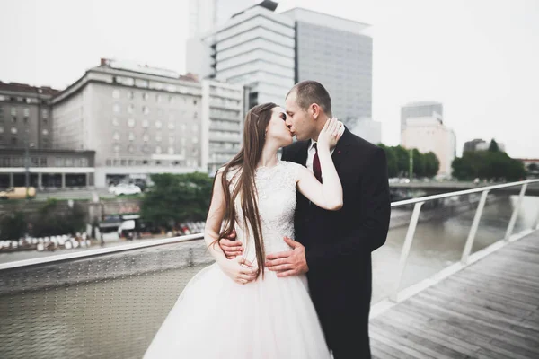 Perfect couple bride, groom posing and kissing in their wedding day — Stock Photo, Image