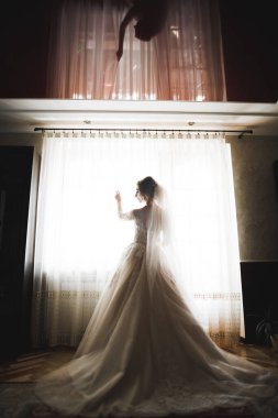 Gelinin güzel portresi moda gelinliği içinde tüylü, lüks makyaj ve saç stili.