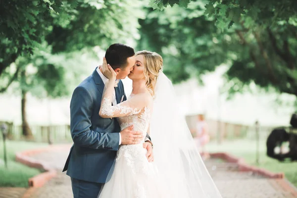 Romantischer Hochzeitsmoment, Brautpaar lächelt Porträt, Braut und Bräutigam umarmen sich — Stockfoto