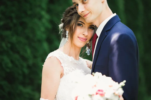 Casamento casal na natureza está abraçando uns aos outros. Menina modelo bonita em vestido branco. Homem de fato — Fotografia de Stock