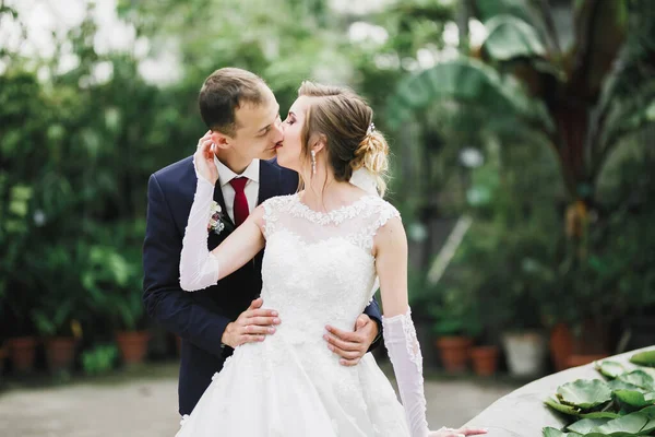 Bela noiva e noivo abraçando e beijando em seu dia de casamento ao ar livre — Fotografia de Stock