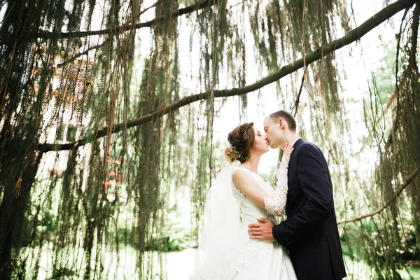 Piękna panna młoda i pan młody obejmujący i całujący się w dniu ślubu na świeżym powietrzu — Zdjęcie stockowe