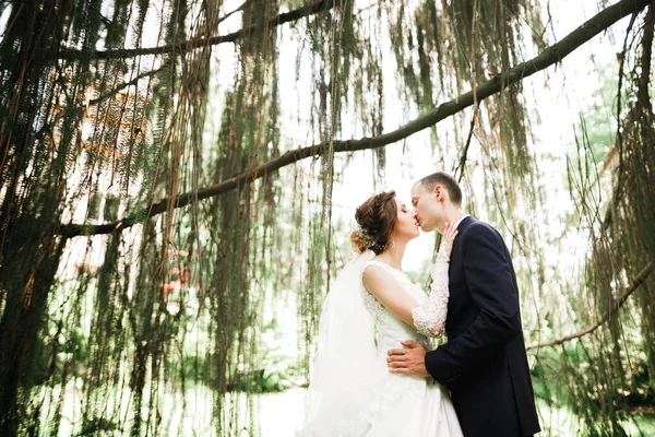 Bela noiva e noivo abraçando e beijando em seu dia de casamento ao ar livre — Fotografia de Stock