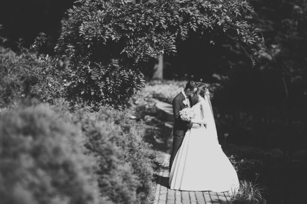 Sol retrato de novia feliz y novio al aire libre en la naturaleza ubicación —  Fotos de Stock