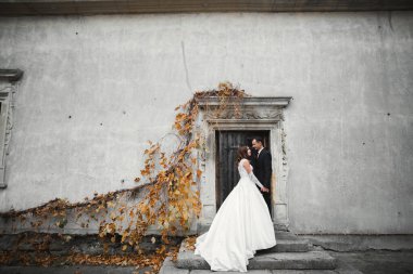 Düğün günü el ele tutuşan çift, damat ve gelin.