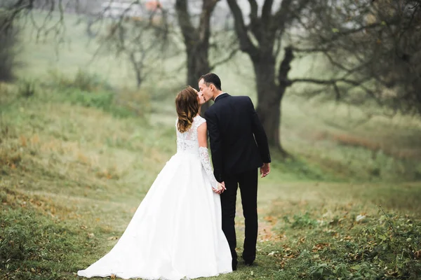 Bruidspaar houdt hand in hand, bruidegom en bruid bij elkaar op trouwdag — Stockfoto