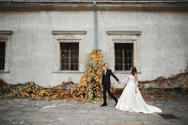 Düğün günü el ele tutuşan çift, damat ve gelin. — Stok fotoğraf