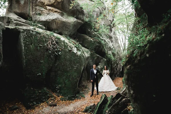 Felice coppia di nozze a piedi in un parco botanico — Foto Stock