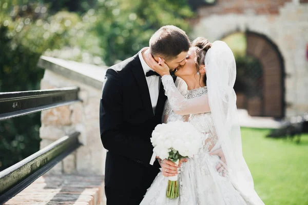 Romântico, conto de fadas, feliz casal recém-casado abraçando e beijando em um parque, árvores no fundo — Fotografia de Stock