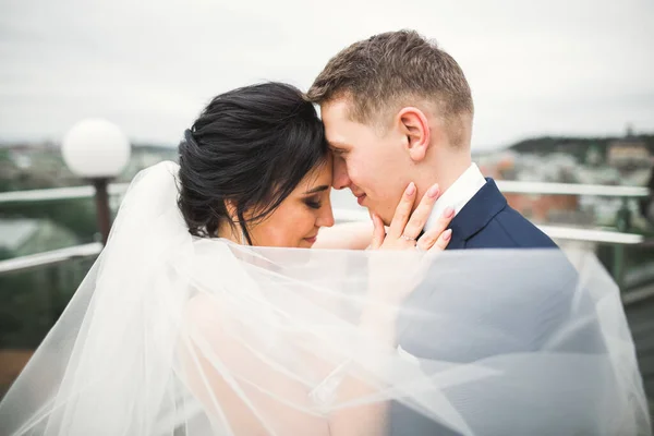 Casamento romântico momento, casal de recém-casados sorrindo retrato, noiva e noivo abraçando — Fotografia de Stock