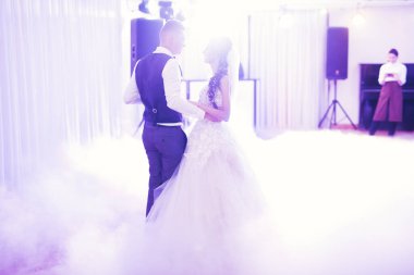 Güzel bir düğün çifti yeni evlendi ve ilk danslarını ediyorlar.