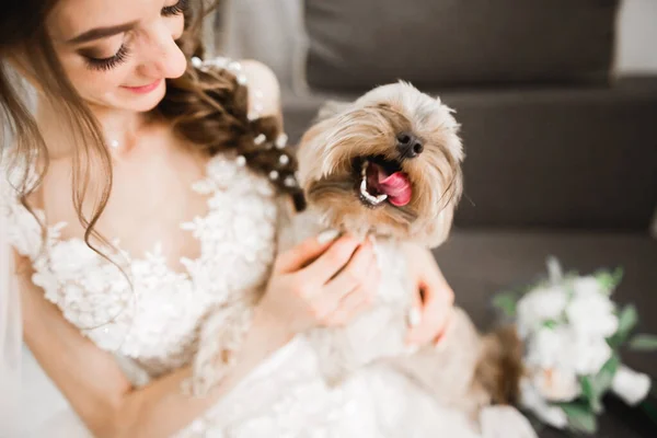 Hermosa novia de lujo juega con divertido perro esponjoso —  Fotos de Stock
