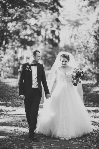 Весільна пара тримає руки, наречений і наречена разом у день весілля — стокове фото