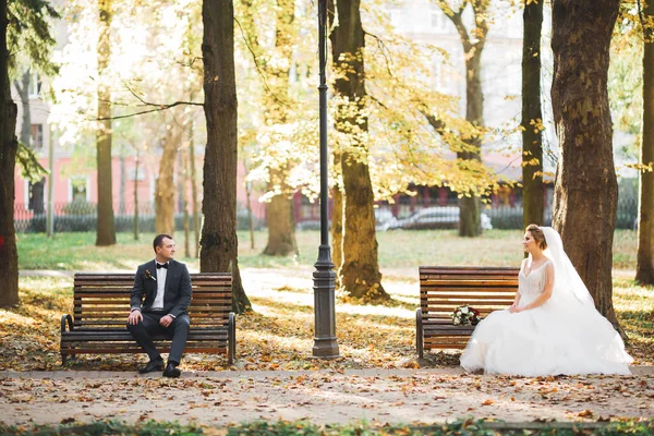 Hermosa joven pareja de boda sentada en un banco en un parque —  Fotos de Stock