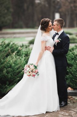 Parkta kucaklaşan yeni evli çiftin güzel romantik düğünü.