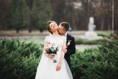 Doğadaki düğün çifti birbirine sarılıyor. Beyaz elbiseli güzel bir kız. Takım elbiseli adam