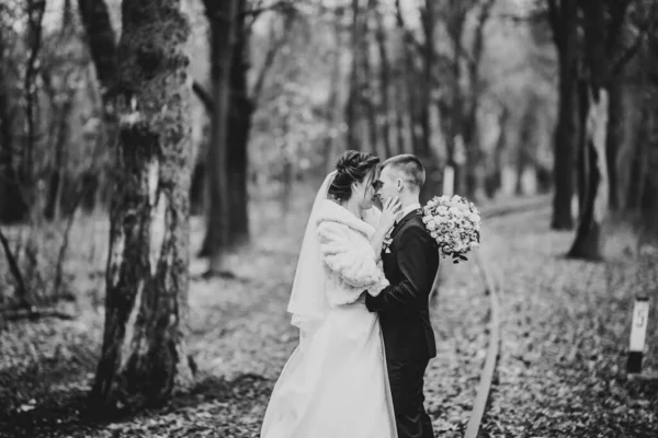 Belle mariée et marié embrassant et embrassant le jour de leur mariage — Photo