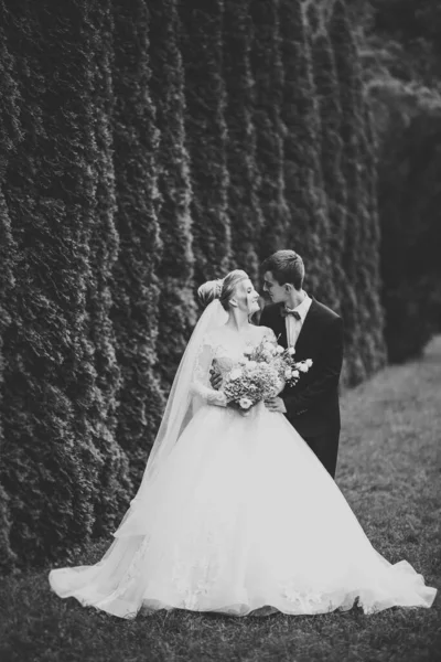 Superbe couple heureux debout près de l'autre et regardant dans les yeux — Photo