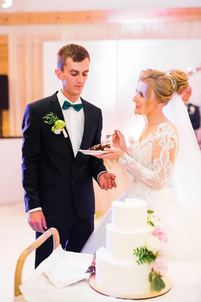 Noiva e noivo no casamento cortando o bolo de casamento — Fotografia de Stock