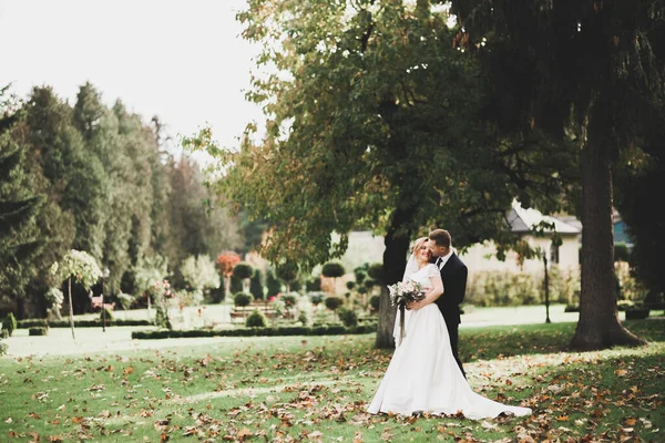 Krásný romantický svatební pár novomanželé objímání v parku — Stock fotografie