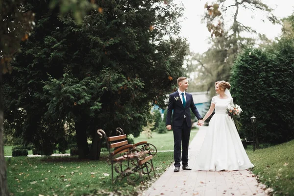 Pas getrouwd stel loopt en springt in het park terwijl ze elkaars hand vasthouden — Stockfoto