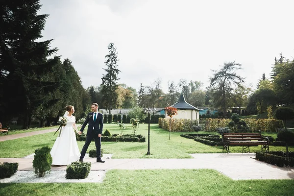 Romantisk, saga, glada nygifta par kramas och kyssas i en park, träd i bakgrunden — Stockfoto