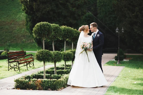 Romántico, cuento de hadas, feliz pareja recién casada abrazándose y besándose en un parque, árboles en el fondo —  Fotos de Stock