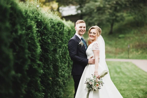 Romantique, conte de fées, couple de jeunes mariés heureux embrassant et embrassant dans un parc, arbres en arrière-plan — Photo