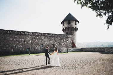 Güzel, romantik bir düğün. Yeni evliler. Eski kalenin yakınlarında sarılıyorlar.