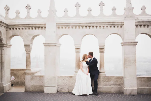 Bela noiva e noivo abraçando e beijando em seu dia de casamento ao ar livre — Fotografia de Stock