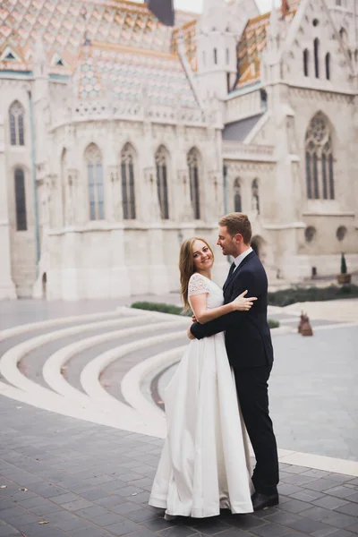 Wedding couple holding hands, groom and bride together on wedding day — Stock Photo, Image