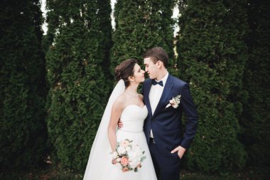 Parkta kucaklaşan yeni evli çiftin güzel romantik düğünü.