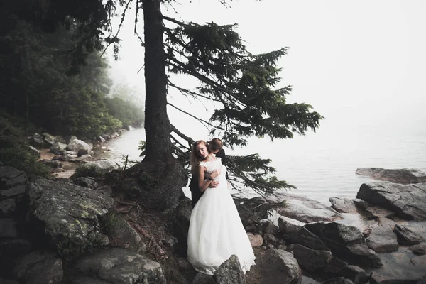 Besos boda pareja estancia sobre hermoso paisaje — Foto de Stock