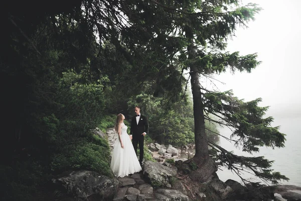 Casal de casamento feliz ficar sobre bela paisagem — Fotografia de Stock